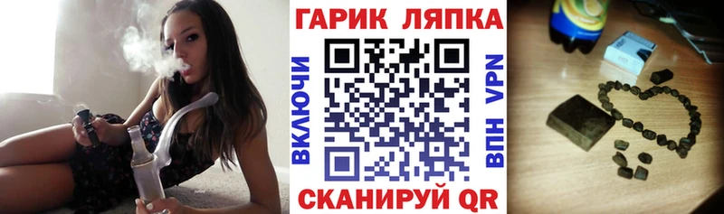 Купить закладки  Завитинск  Гашиш индика сатива 